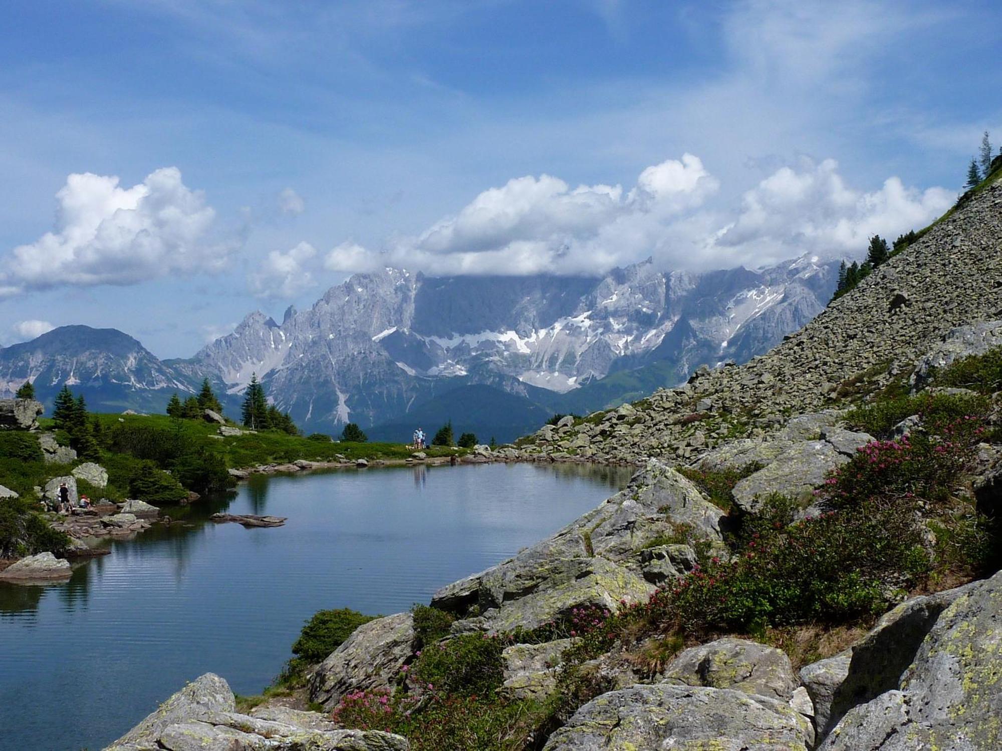 Fruehstueckspension Gsenger Ramsau am Dachstein Exteriér fotografie
