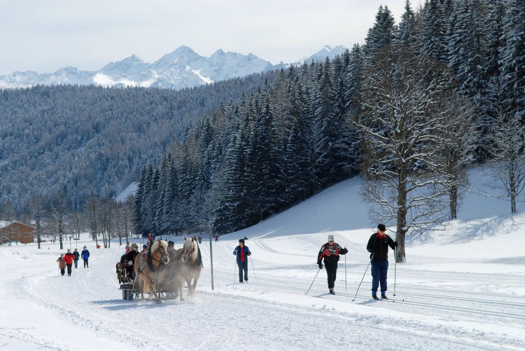 Fruehstueckspension Gsenger Ramsau am Dachstein Exteriér fotografie